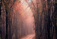 虎扑体育:欧冠-加克波破门 10人利物浦2-3仍以头名晋级.