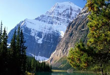 虎扑体育:塔图姆:科比是我的偶像 我曾模仿过KD&甜瓜&乔治的比赛.