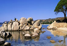 霍福德成为自罗伯特·帕里什之后,凯尔特人队史上单场得分25+的最年长球员.